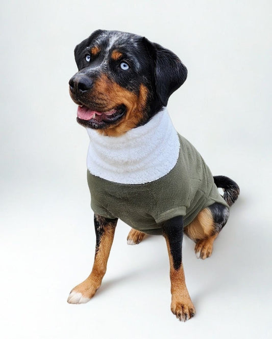 Fleece Dog Sweater – Hunter Green with Faux Sherpa Turtleneck