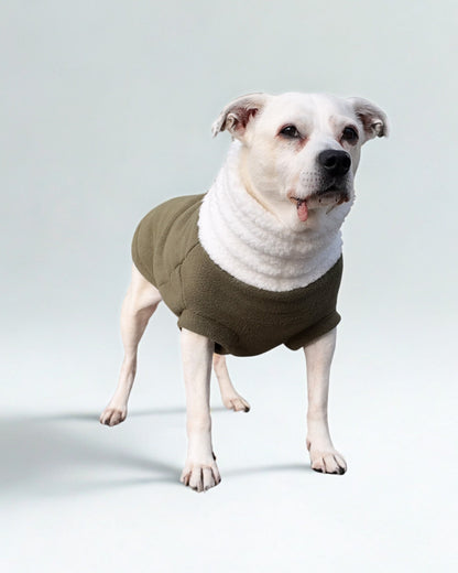 Fleece Dog Sweater – Hunter Green with Faux Sherpa Turtleneck