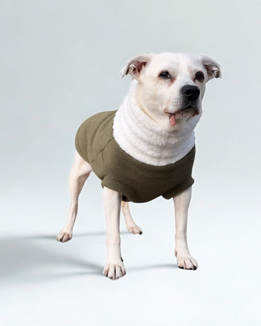 Fleece Dog Sweater – Hunter Green with Faux Sherpa Turtleneck