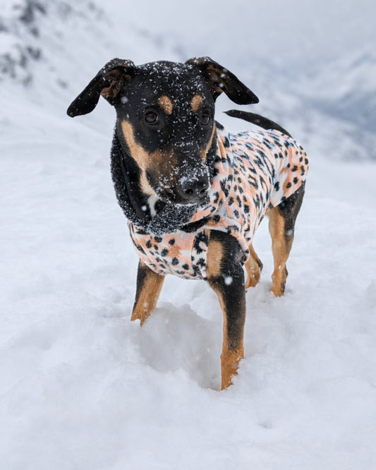 Ivory & blush leopard fleece dog sweater tank with sherpa hood on dog in snow, front view