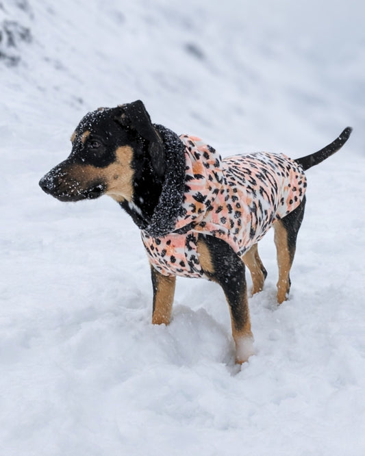 Ivory & blush leopard fleece dog sweater tank with black sherpa-trim hood on dog in snow, side view
