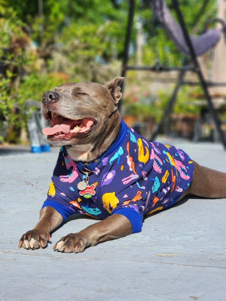 Colorful Dino Skulls Dog Pajamas