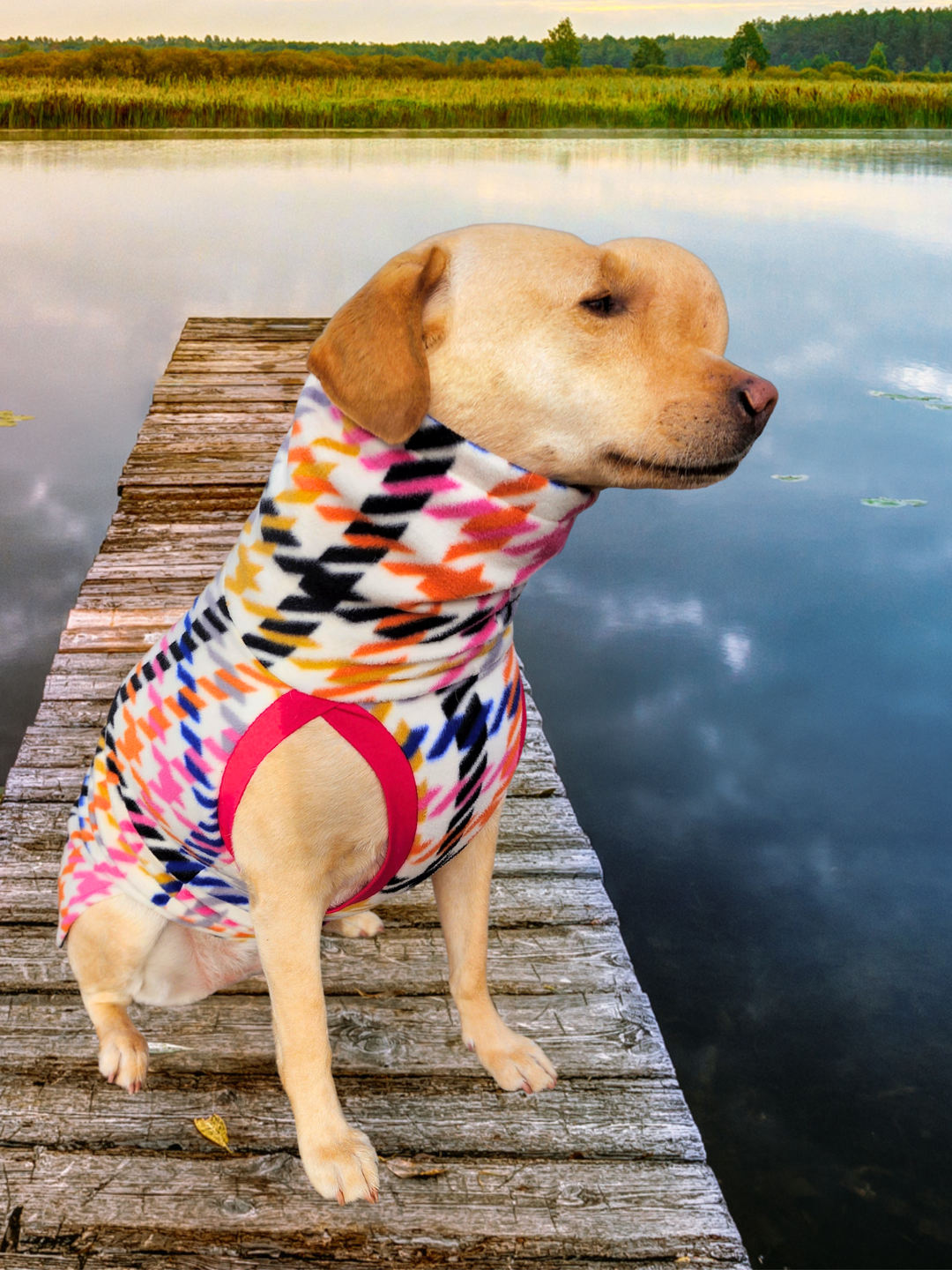 The Pepita Rainbow Dog Sweater