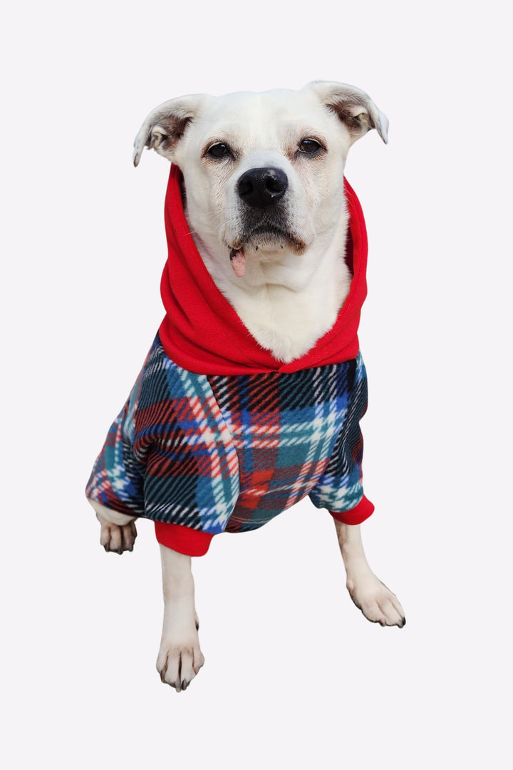 Adorable white pup modeling Jax & Molly's Midnight Tartan Fleece Dog Hoodie with a striking tartan plaid fleece showcasing a beautiful combination of blue, green, red, white and complimented by a bold red hood.