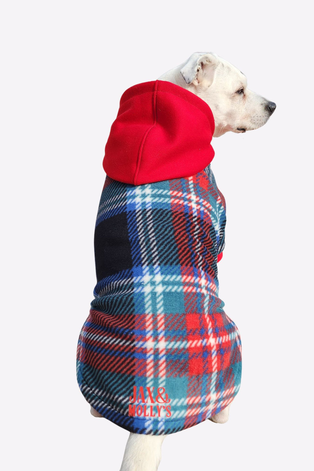 White pup displaying the back of Jax & Molly's Midnight Tartan Fleece Dog Hoodie with a striking tartan plaid fleece showcasing a beautiful combination of blue, green, red, white and complimented by a bold red hood.