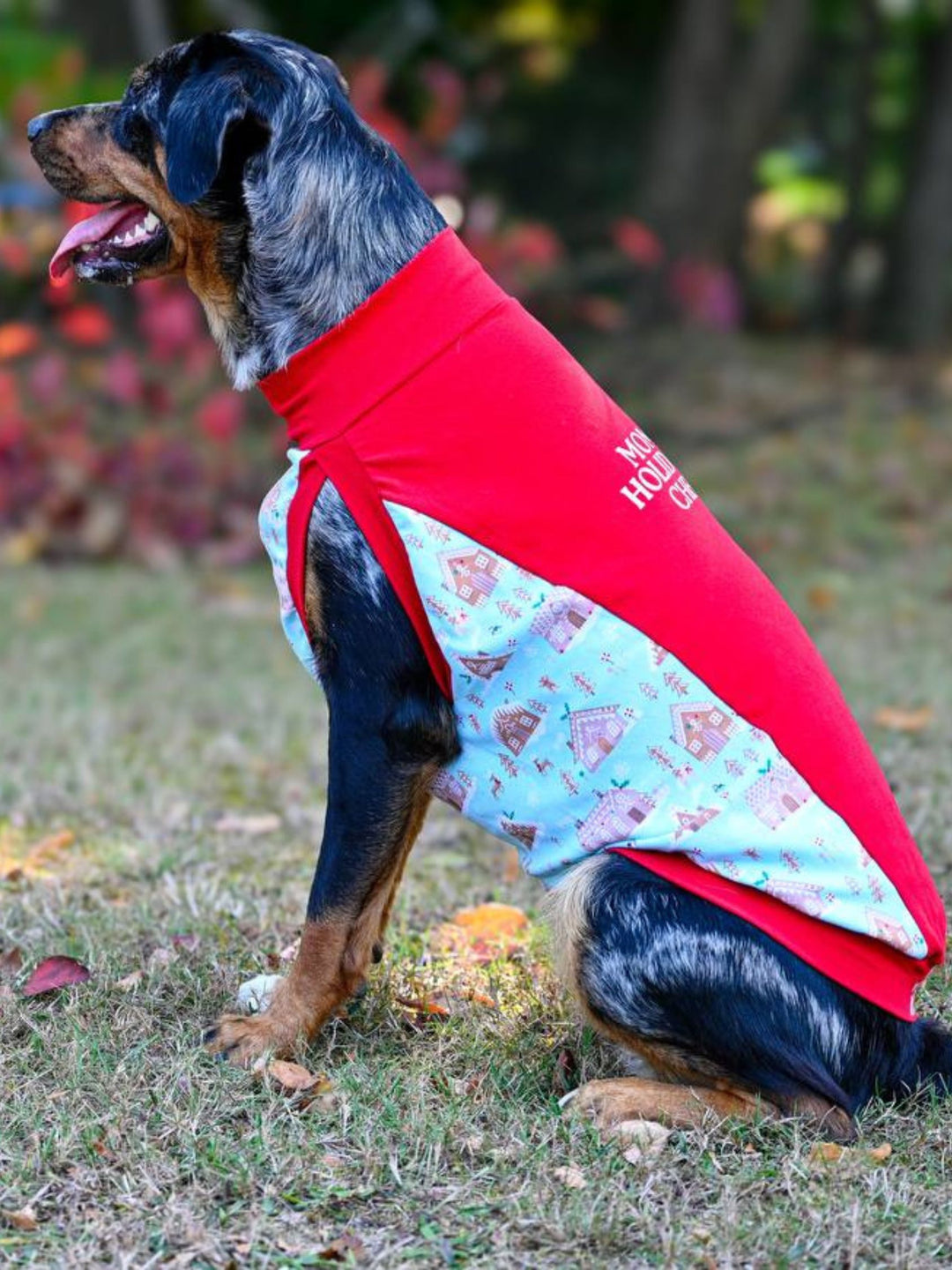 The side profile of a dog wearing the Jax & Molly's 'Momma's Holiday Cheer' Dog Tank showcases a vibrant red fabric adorned with a white vinyl graphic that reads Momma's Holiday Cheer, accompanied by a gold gingerbread cookie design. The underbelly is a charming mint color, decorated with cute gingerbread houses.