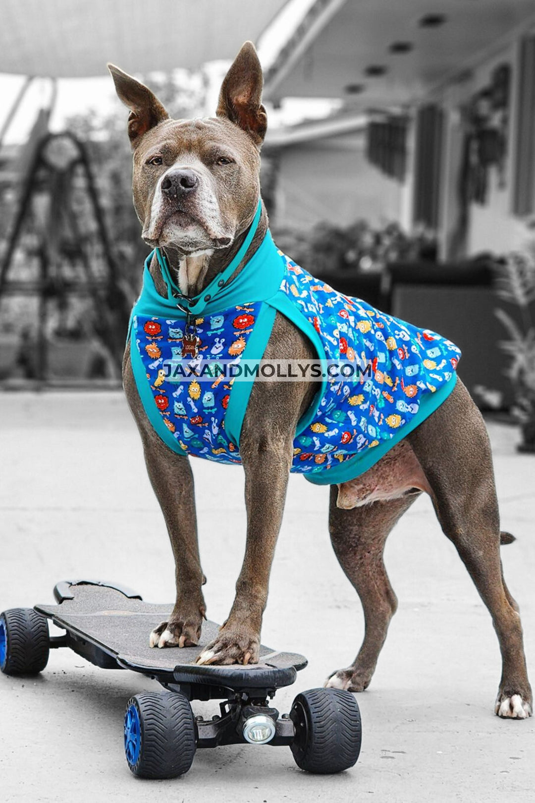 Dog on skateboard wearing Jax & Molly's dog pajamas with print of colorful monster on skateboards.