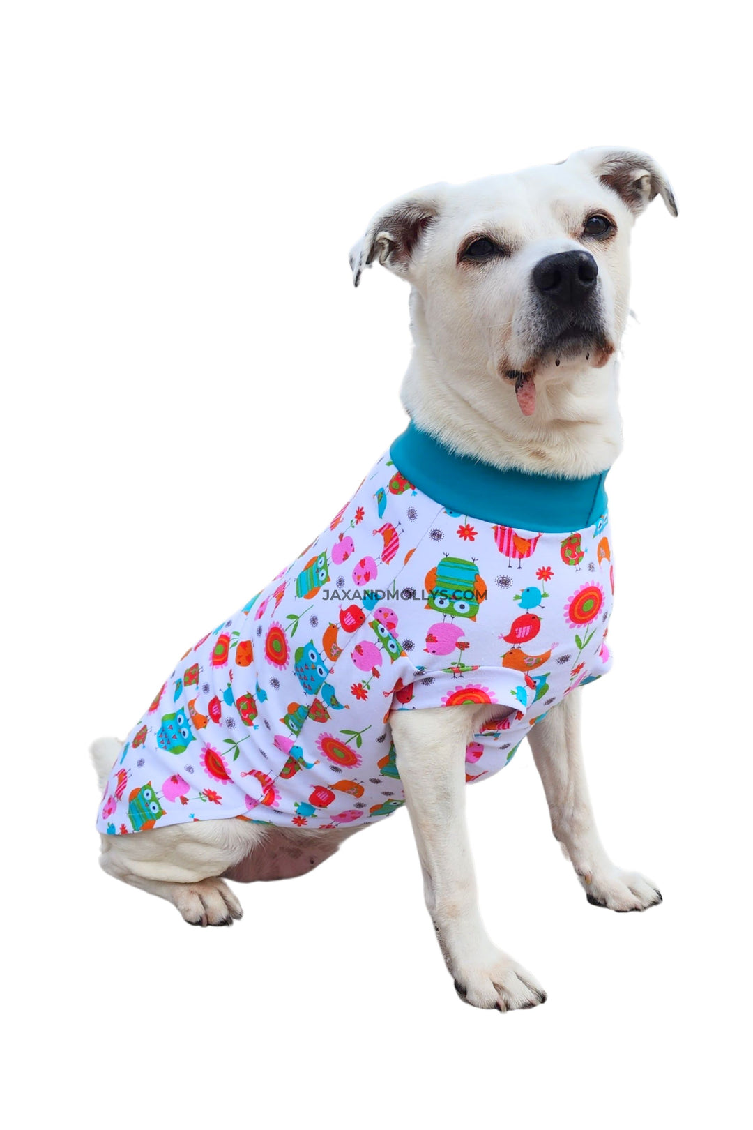 Dog wearing a shirt featuring a bright colored, owl, bird and flower print.