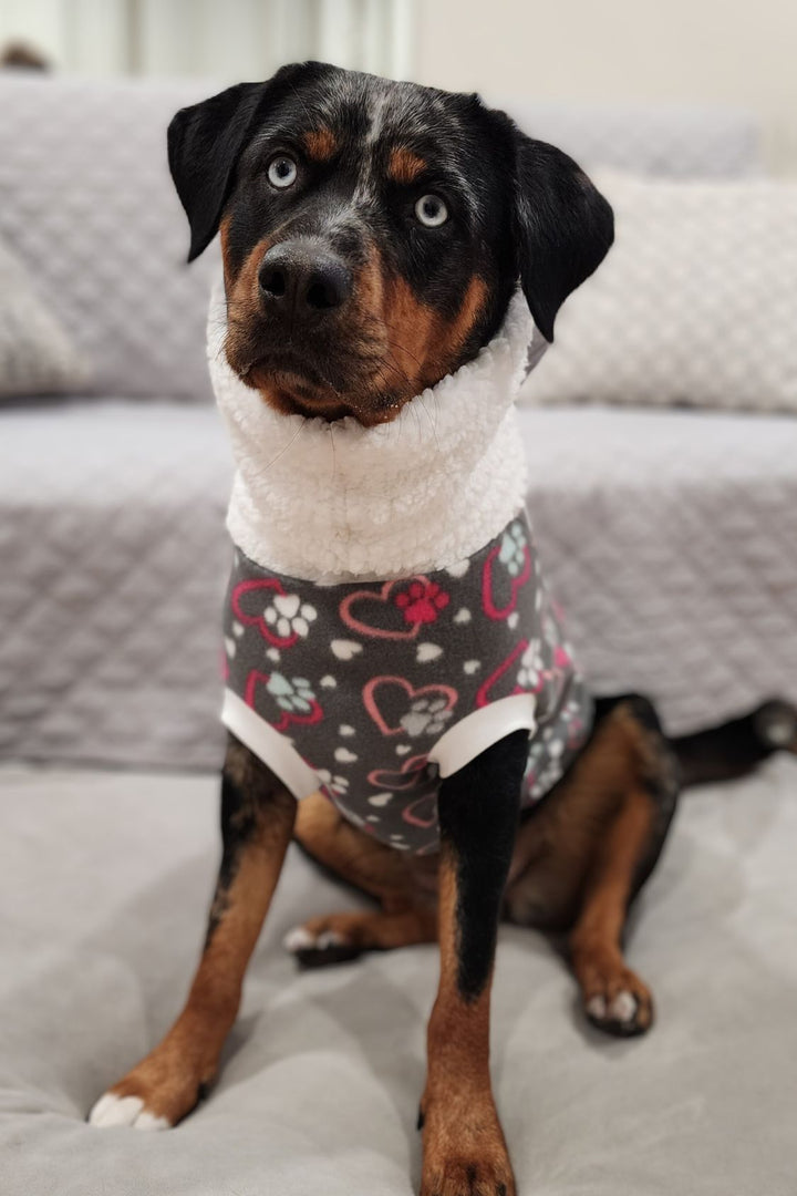 A dog modeling Jax & Molly's Valentine's Day Dog Sweater, with a cute heart and paw print design, and a comfy faux sherpa turtleneck.