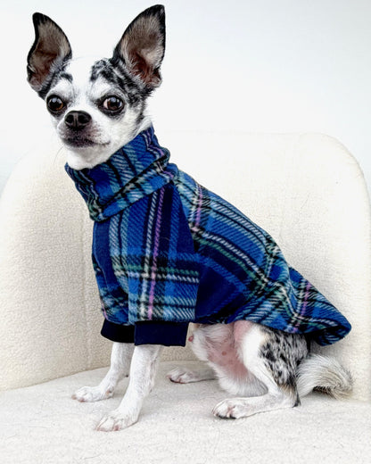 Chihuahua wearing a fleece dog sweater in blue plaid
