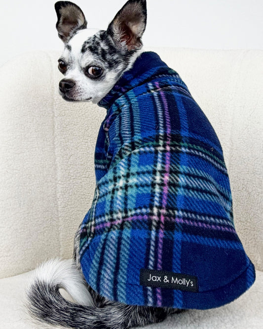 Small dog wearing a blue plaid coat with 'Jax & Molly's' label on a white background
