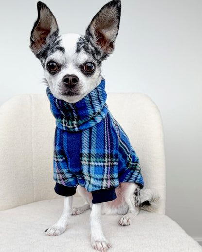 Small dog wearing a blue plaid outfit sitting on a white chair.