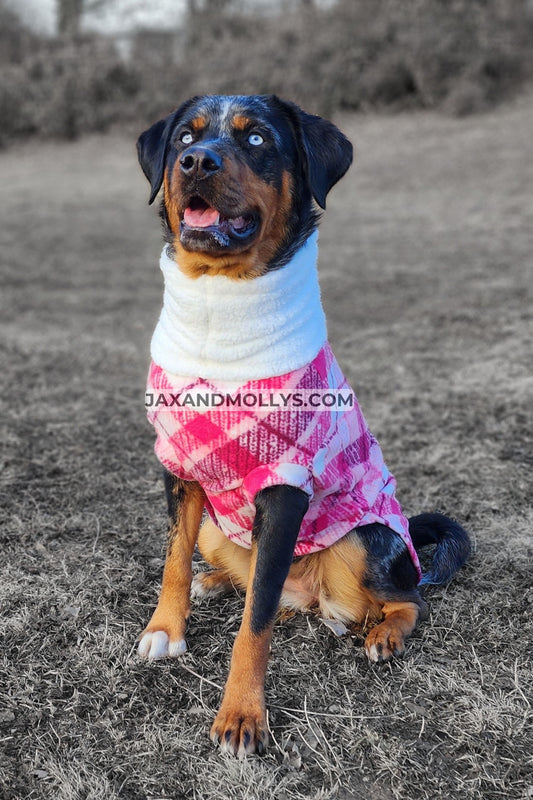 Large dog wearing pink plaid dog sweater with sherpa turtleneck, front view