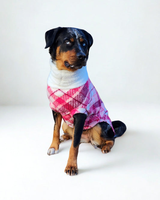 Dog modeling pink plaid fleece sweater with white sherpa neck, side profile view