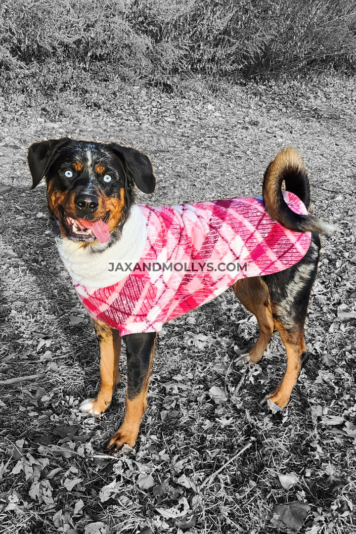 A dog showcasing a pink plaid fleece sweater with a faux sherpa turtleneck.