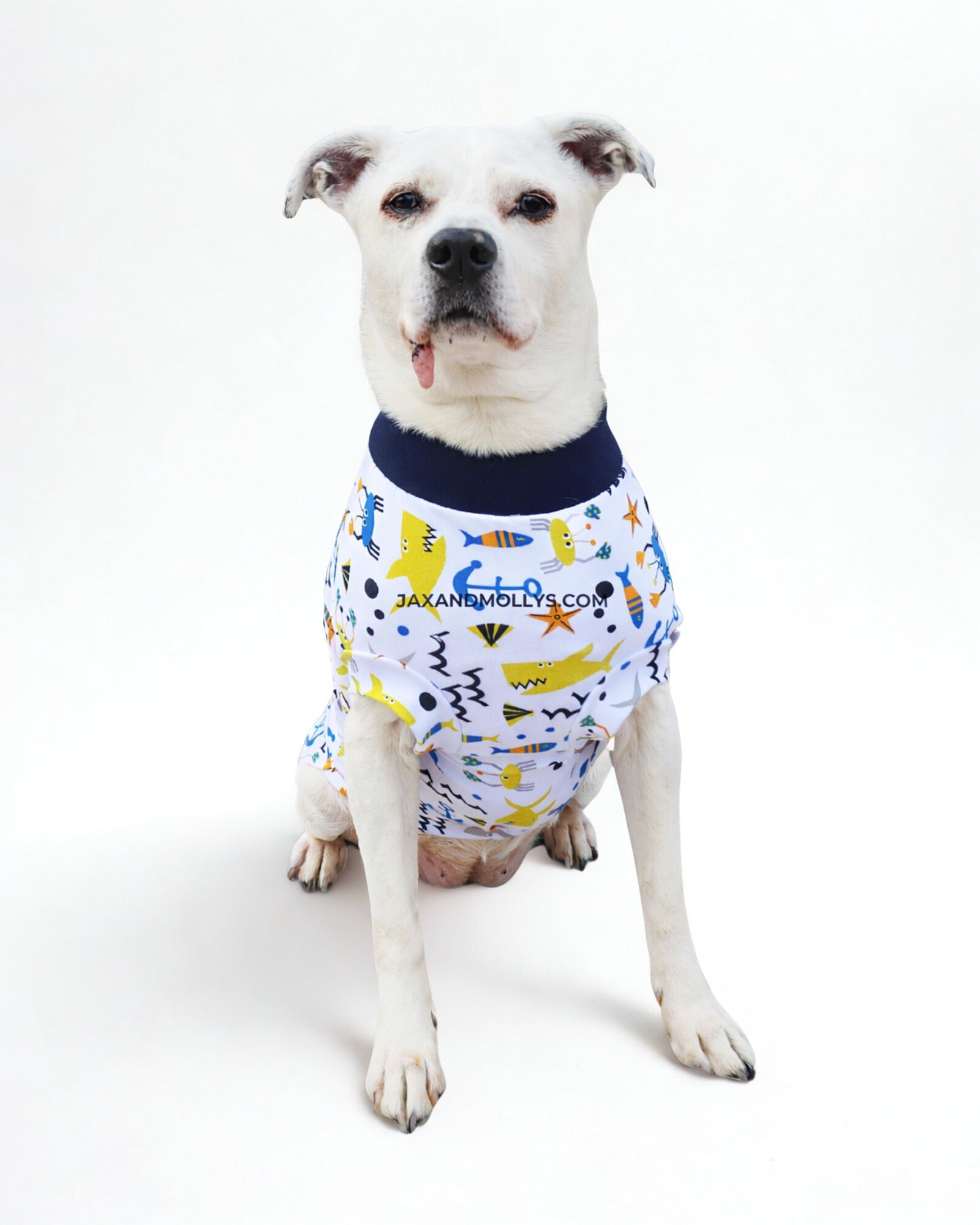 Playful Fish & Sharks cotton-spandex dog pajamas on white dog, sitting