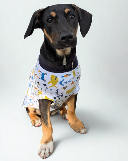 Playful Fish & Sharks cotton-spandex dog pajamas on cute black dog, sitting