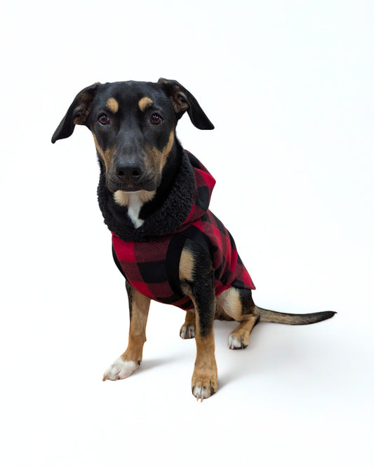 Dog wearing red buffal plaid fleece dog sweater with black sherpa-trim hood