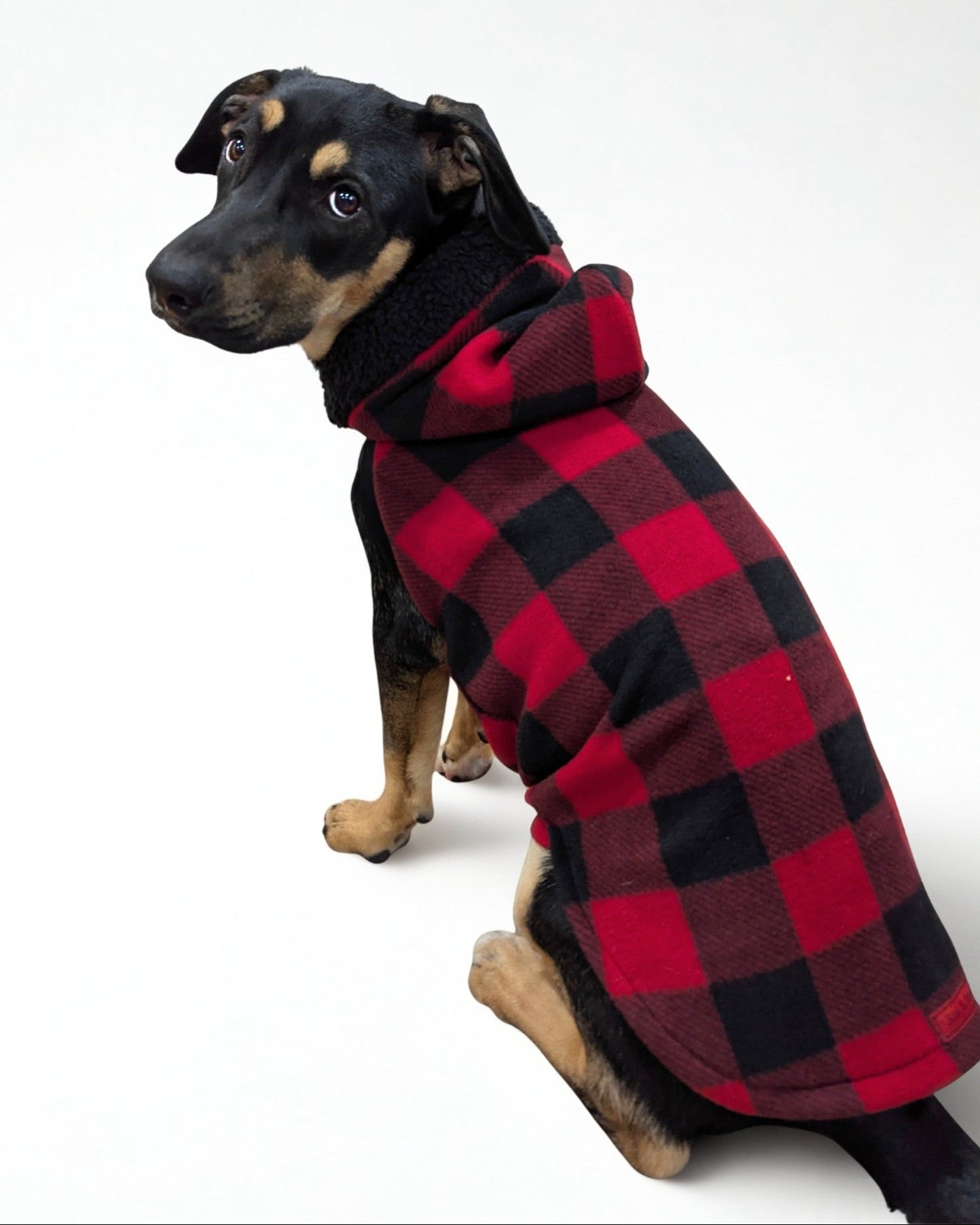 Red Buffalo Plaid Dog Hoodie with Black Sherpa Trim - Made to Order