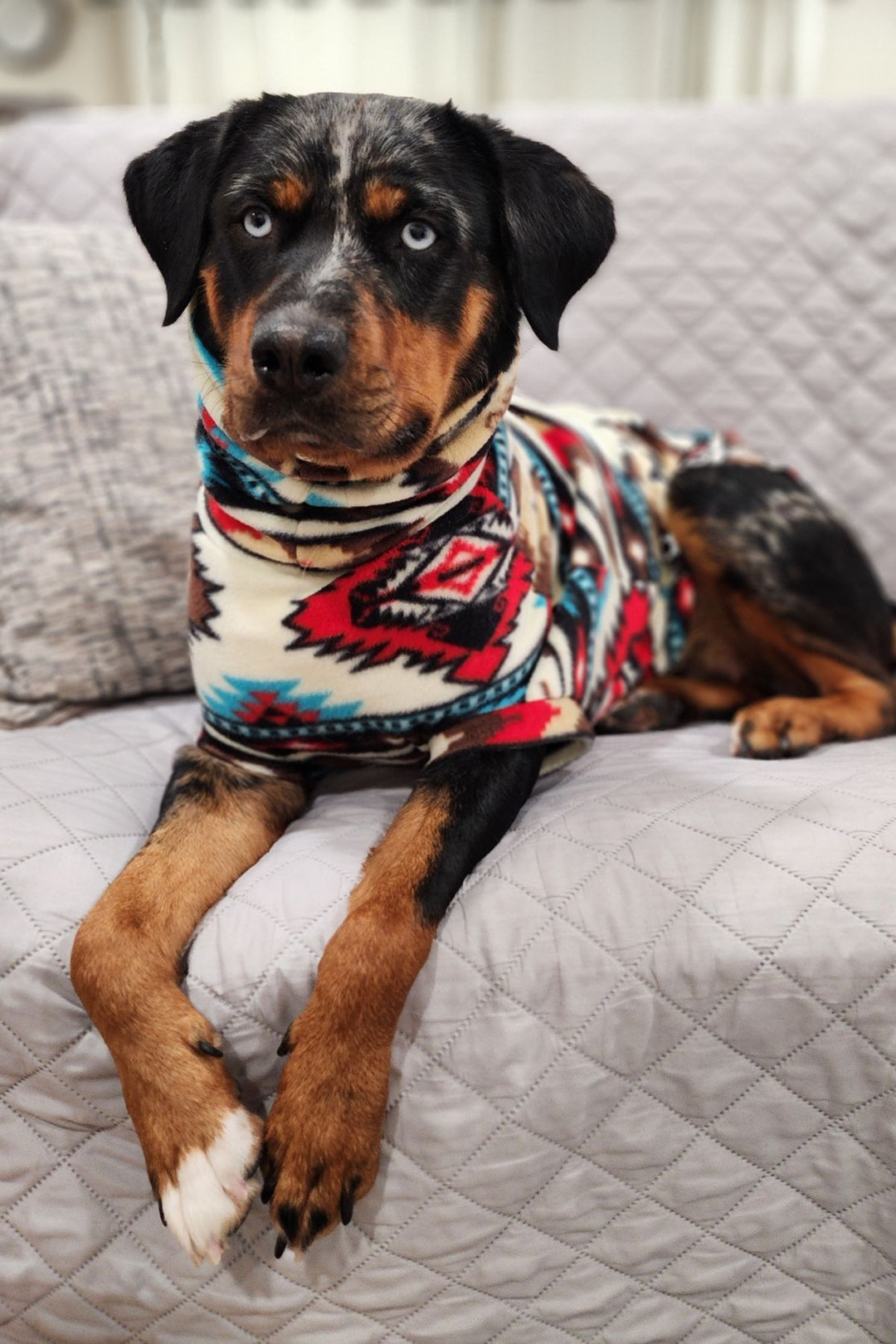 A stunning Rottweiler showcases Jax & Molly's Red Tribal Aztec Dog Sweater made from Aztec-patterned fleece.