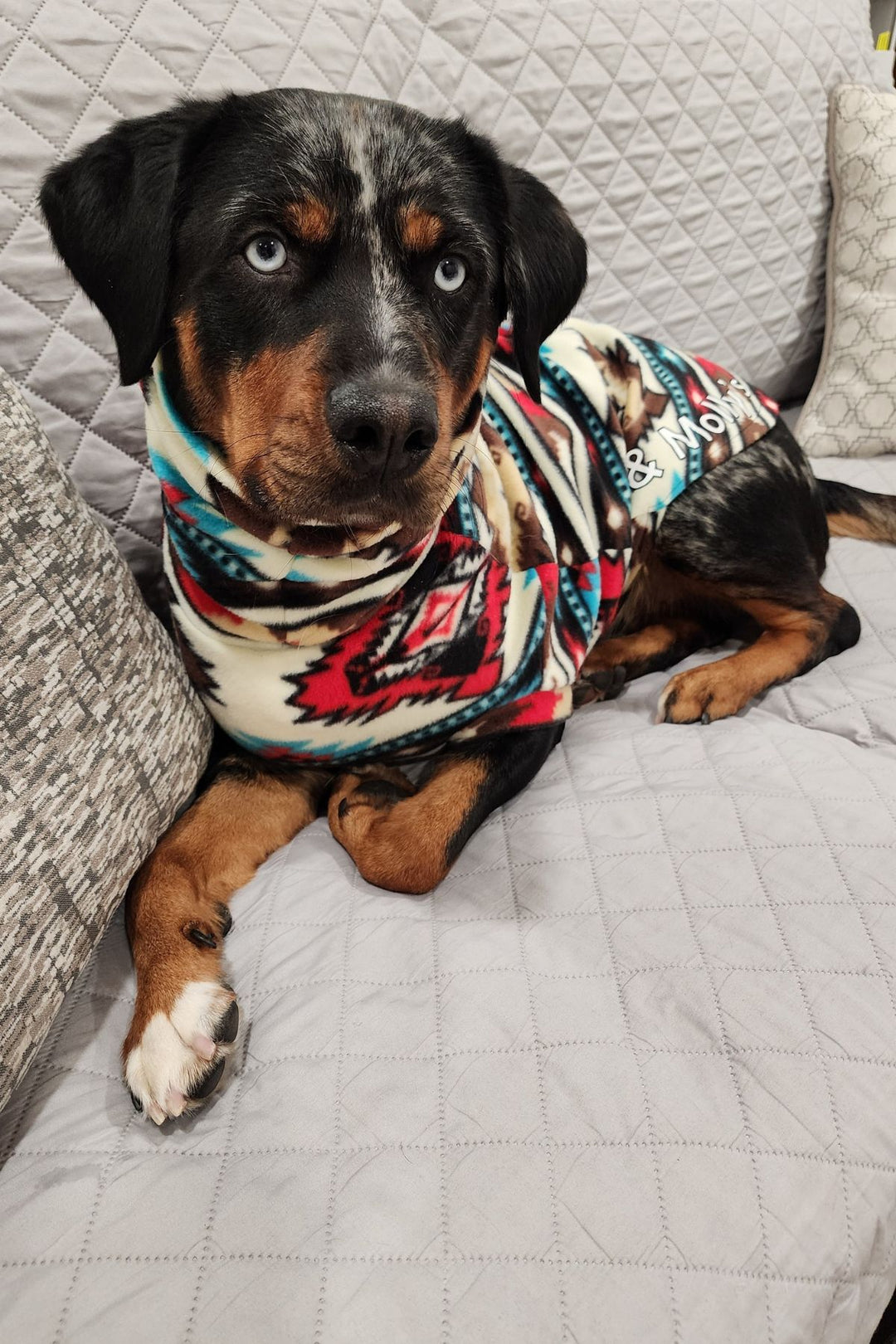 A stunning Rottweiler showcases Jax & Molly's Red Tribal Aztec Dog Sweater made from Aztec-patterned fleece.