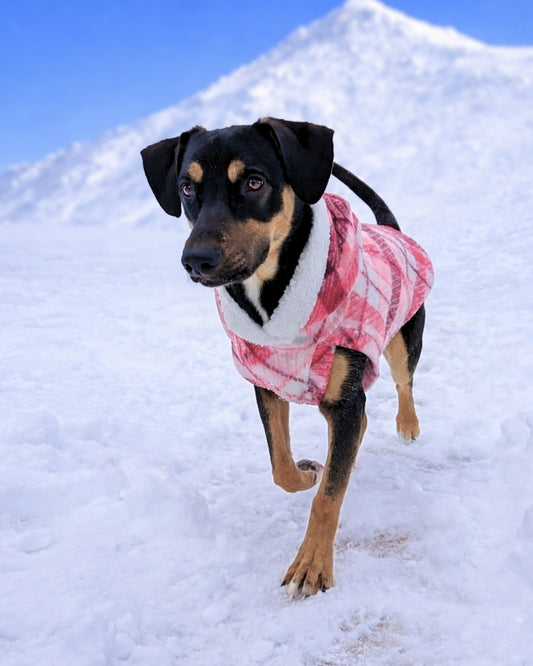Rose and fuchsia plaid fleece dog sweater with white sherpa-trim hood on black and tan dog on snowy mountain