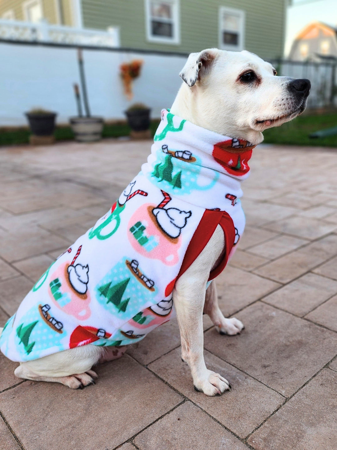 Side profile of a white dog wearing a cute sweater with a print of cocoa mugs adorned with Santa faces and pine trees on white.