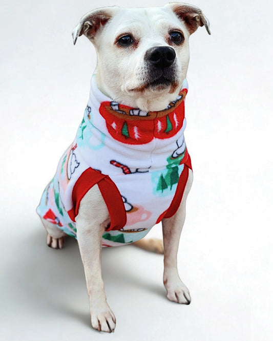 Front profile of a white dog wearing a cute sweater with a print of cocoa mugs adorned with Santa faces and pine trees on white.