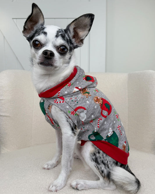 Small dog wearing Santa Cocoa Mugs holiday hoodie with red trim
