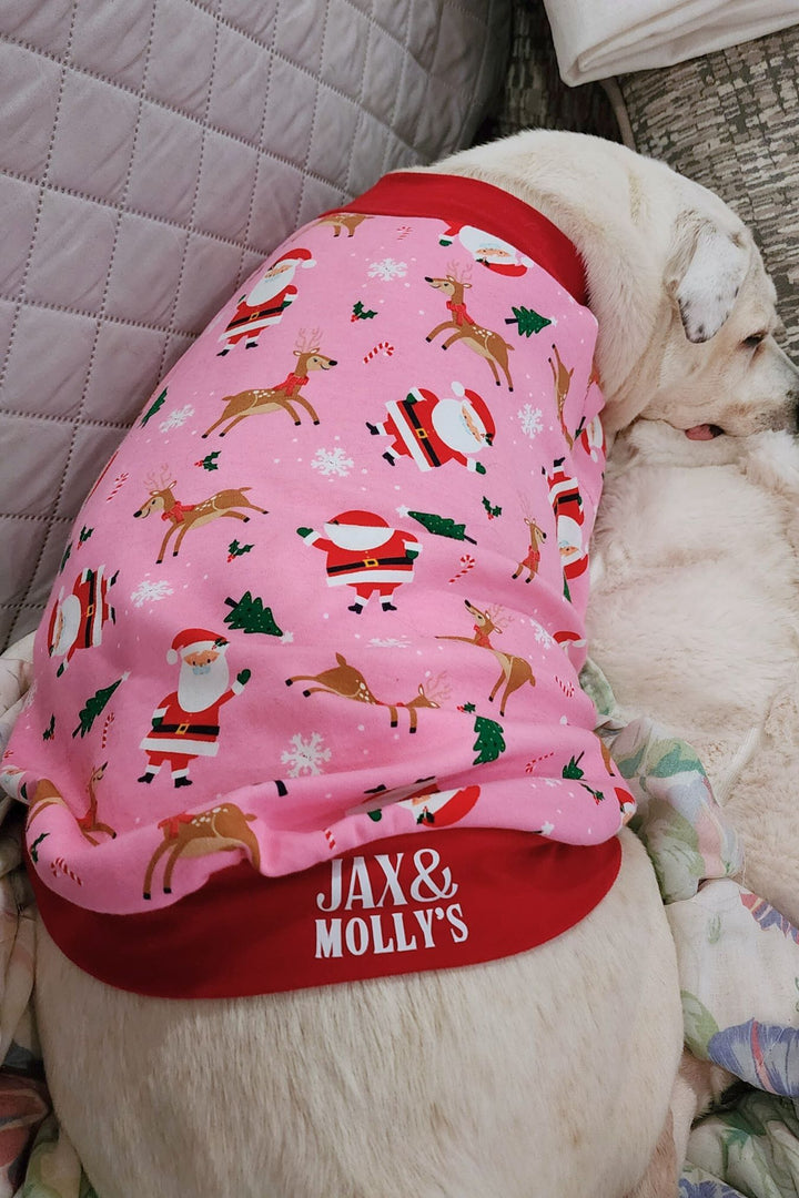 A napping pup showcasing Jax & Molly's Santa & Friends Dog Pajamas, embellished with a delightful print of Santa, reindeer, pine trees, and festive holiday accents on a captivating pink background complimented by red trim.