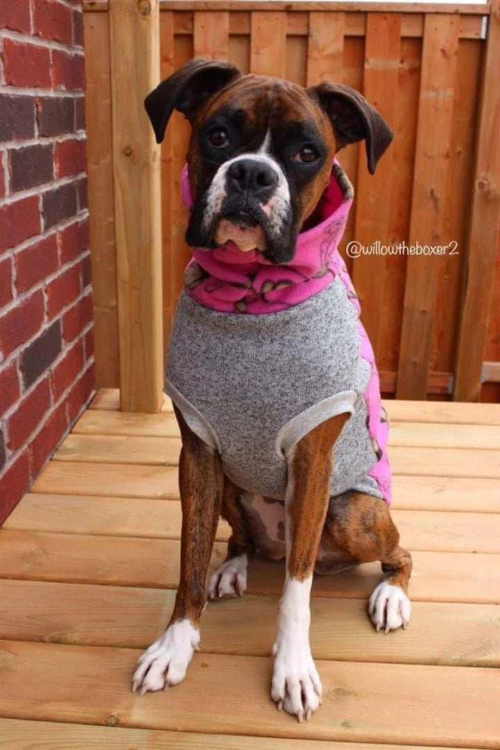 Cute Boxer wearing Jax & Molly's Silly Monkey Dog Sweater adorned with charming monkeys swinging on vines against a pink backdrop, accented by a gray underbelly.