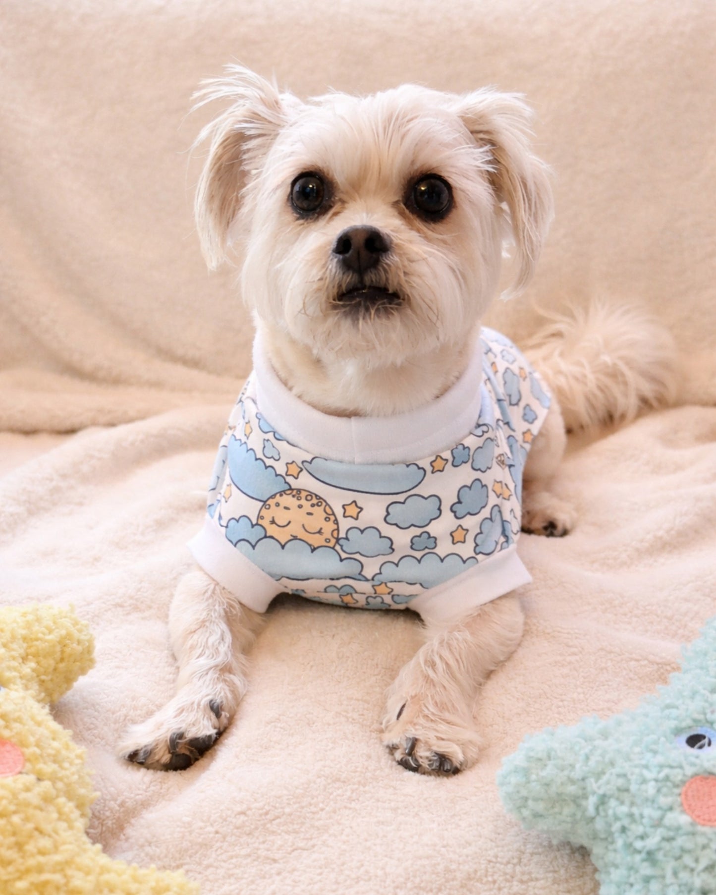 Small white dog wearing pajamas with a Sleepy Moon floating above the clouds print featuring white trim