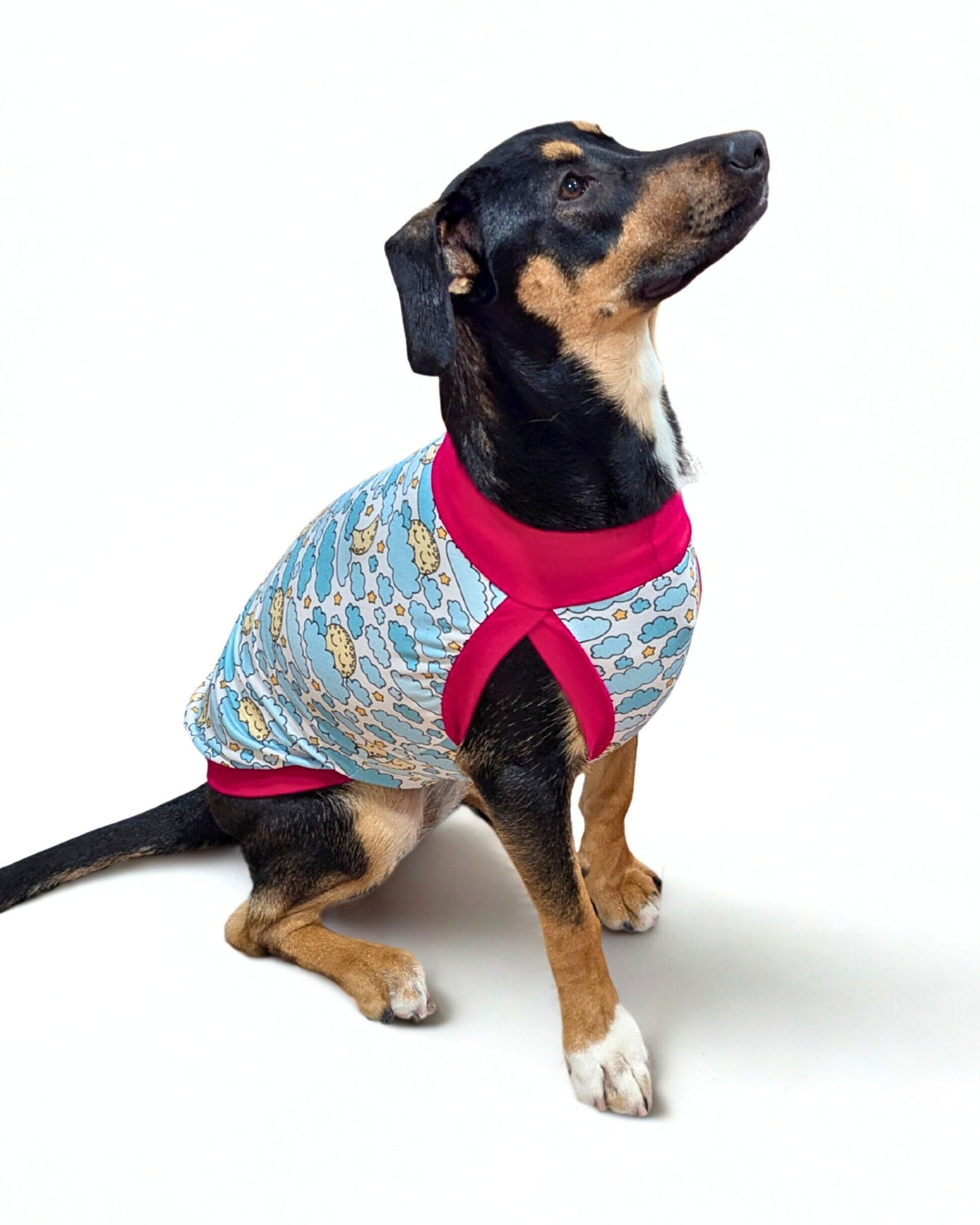 Sleepy Moon Poly-Spandex Dog Pajamas