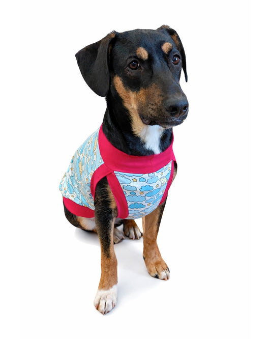 Doberman puppy wearing Sleepy Moon dog pajamas with moon and cloud print and fuchsia trim