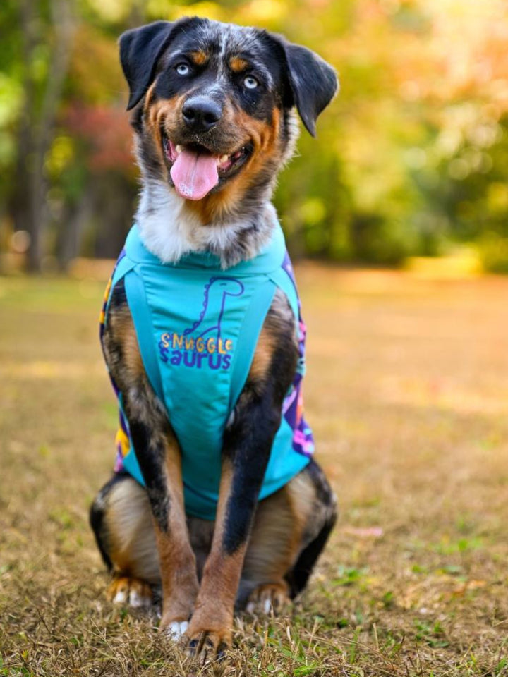 Gorgeous dog modeling the Jax & Molly's 'Snuggle Saurus' Dog Tank, showcasing a chic jade color with a striking blue and gold vinyl graphic, displaying the words 'Snuggle Saurus' alongside a cute dino outline. 