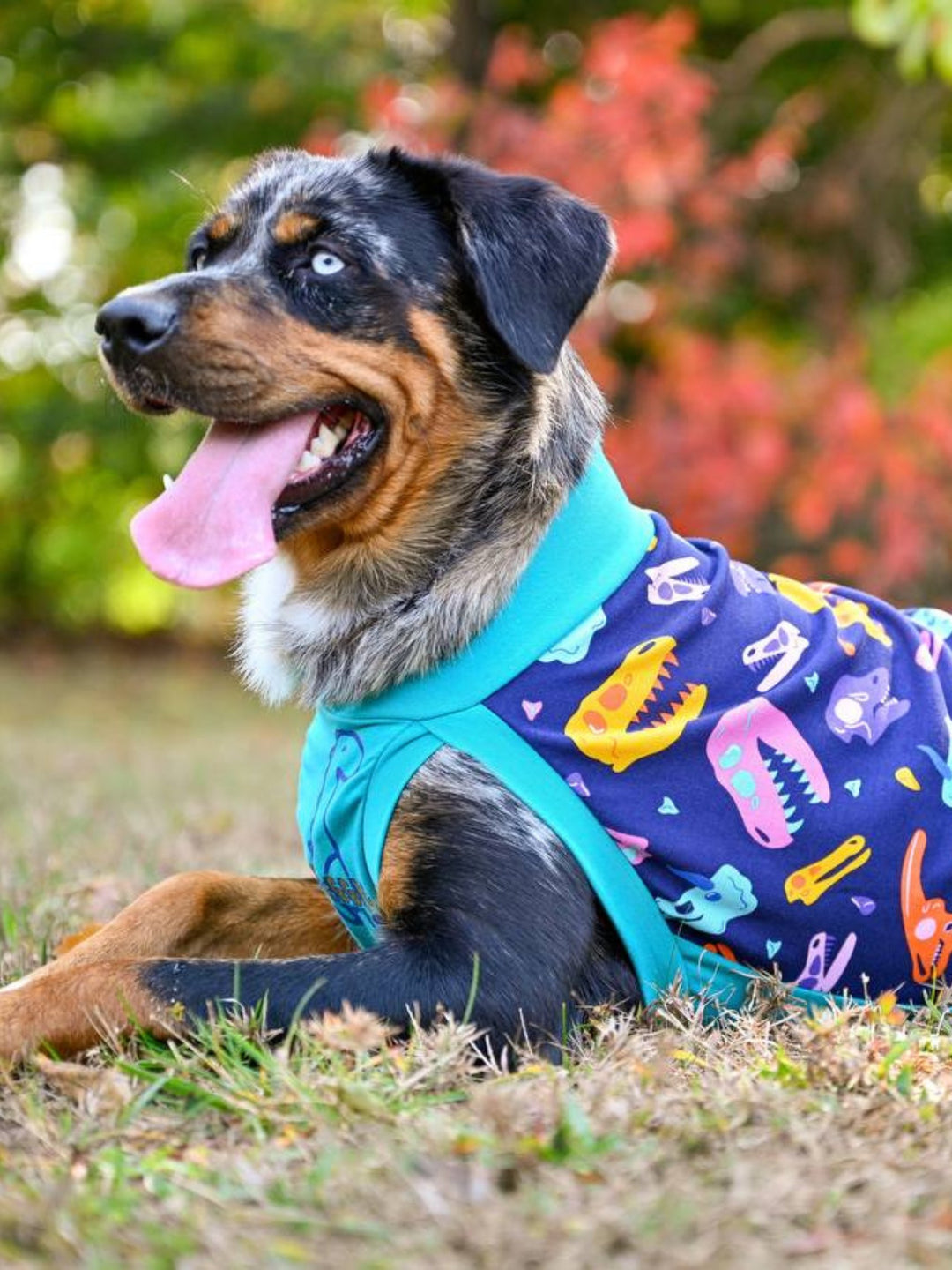 Side profile of a beautiful dog modeling the Jax & Molly's 'Snuggle Saurus' Dog Tank, showcasing a chic jade underbelly color in combination with a colorful dinosaur skeleton print.