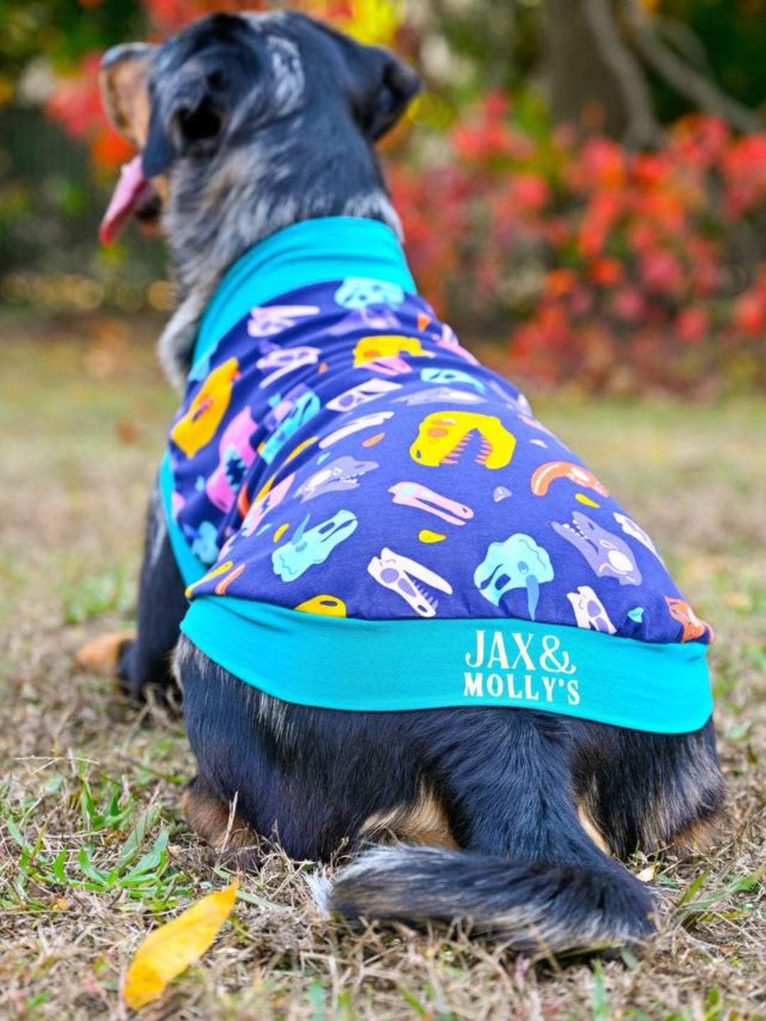 Back view of a dog modeling the Jax & Molly's 'Snuggle Saurus' Dog Tank, showcasing a colorful dinosaur skeleton head print.