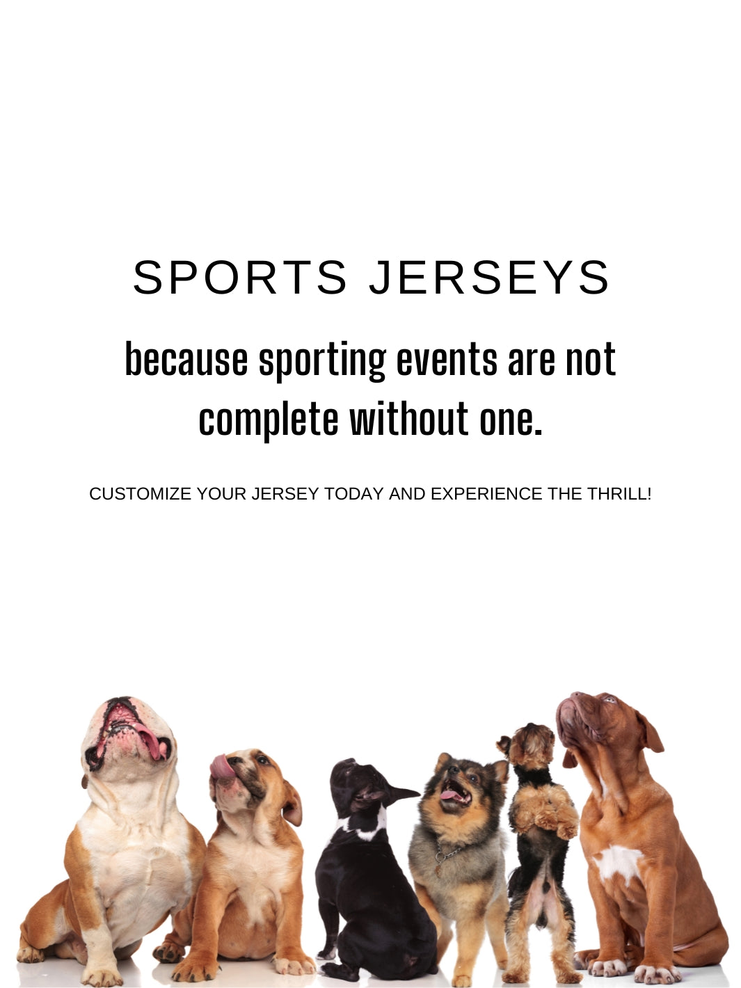 Custom Dog Sports Jerseys Jax Molly s