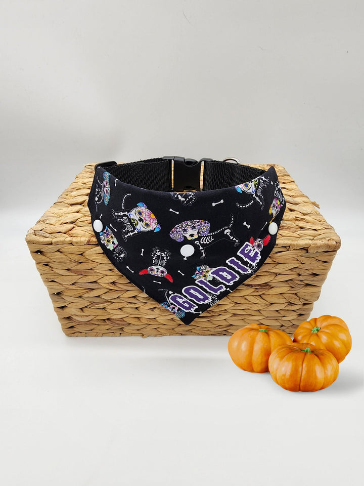 Displayed atop a wicker box is a black halloween dog bandana featuring a sugar skull dog skeleton pattern and a purple graphic that reads the name Goldie.