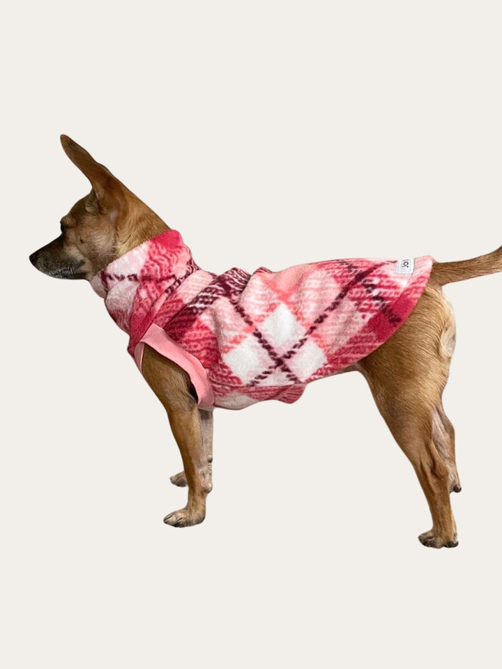 Side profile of small dog modeling the Jax & Molly's Bubble Gum Plaid dog sweater in pink and white plaid.