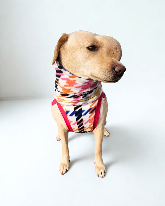 Dog wearing a rainbow pepita patterned pullover dog sweater on a white background