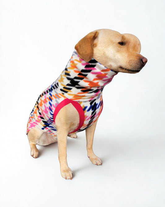 Dog wearing a rainbow pepita patterned pullover dog sweater on a white background