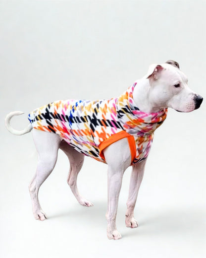 White dog wearing a rainbow houndstooth patterned pullover dog sweater on a white background
