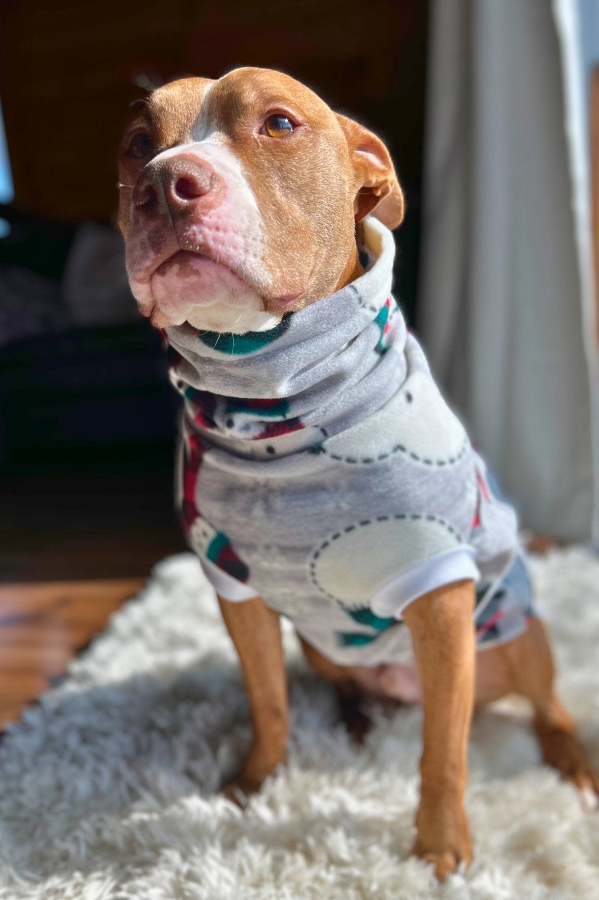 Pitbull dog sweaters hotsell