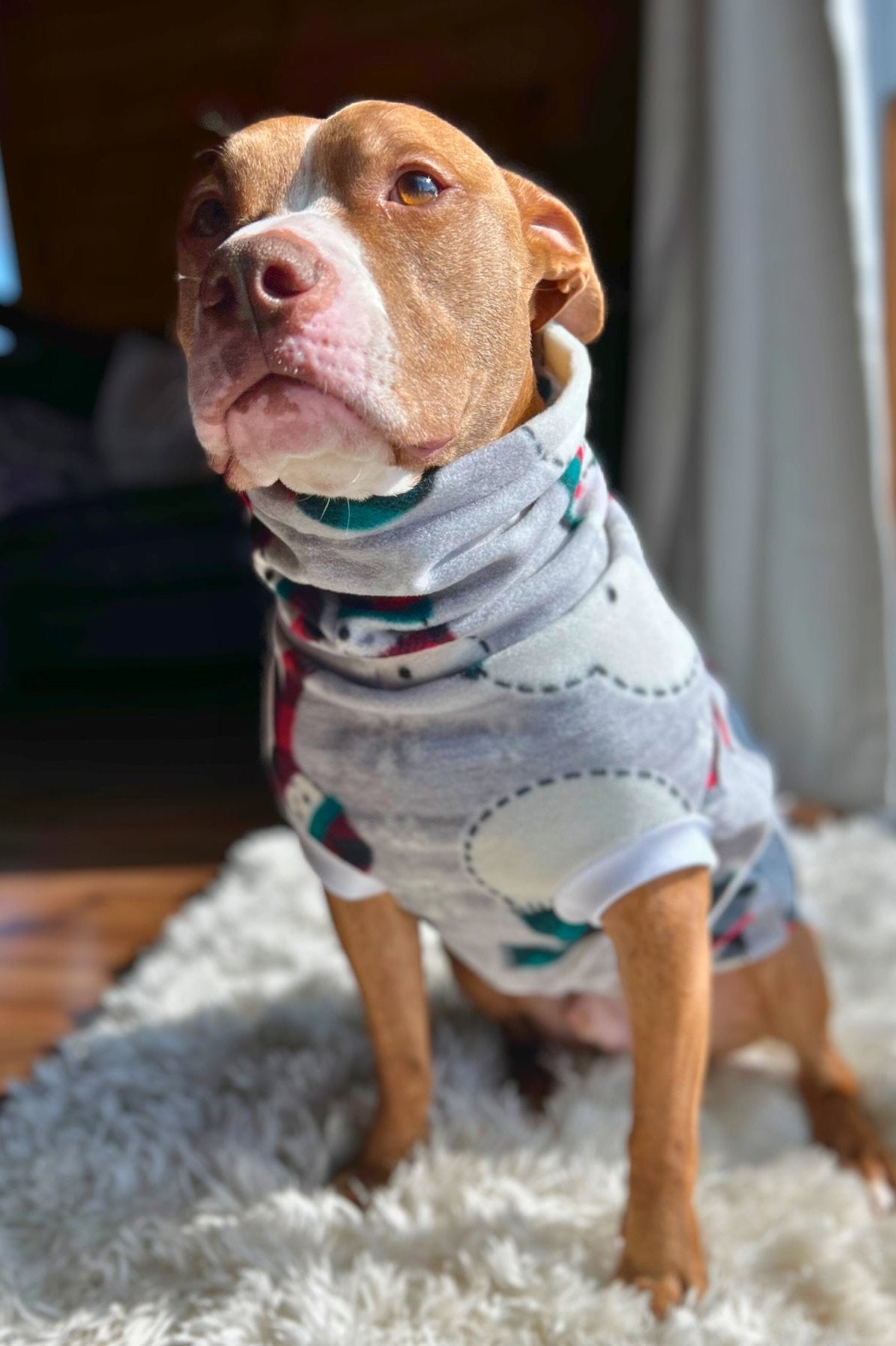 Cinnamon-colored dog wearing snowman fleece holiday dog sweater