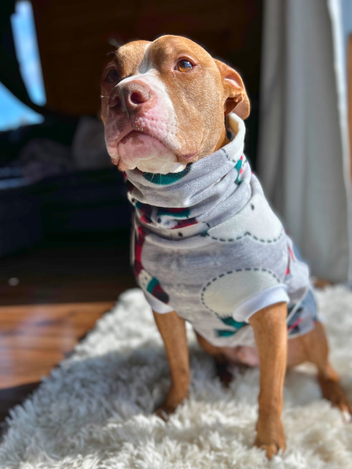 Gorgeous cinnamon colored dog wearing a gray fleece sweater featuring snowmen with scarves print.