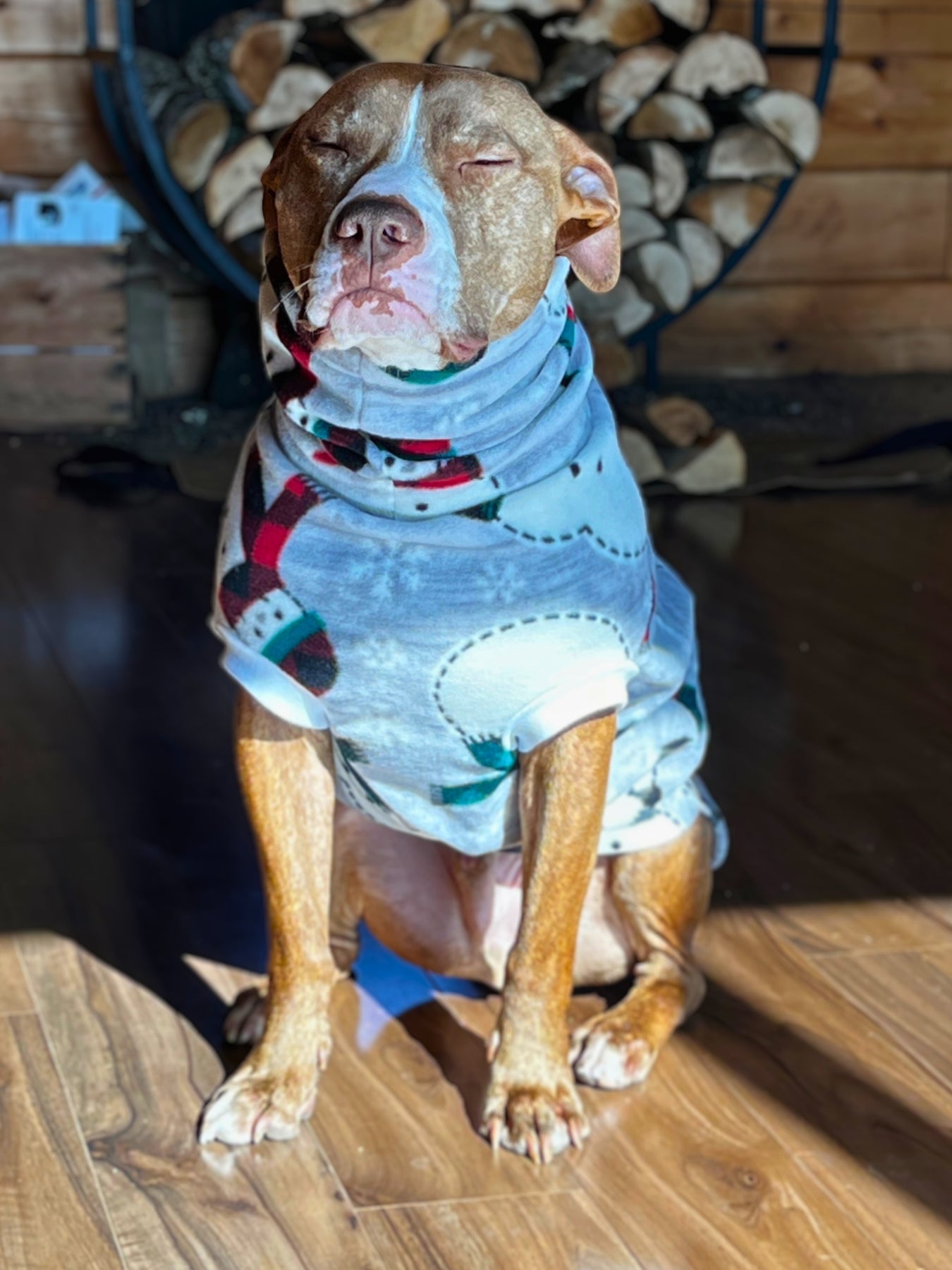Cinnamon-colored dog wearing snowman fleece holiday dog sweater with a cabin background