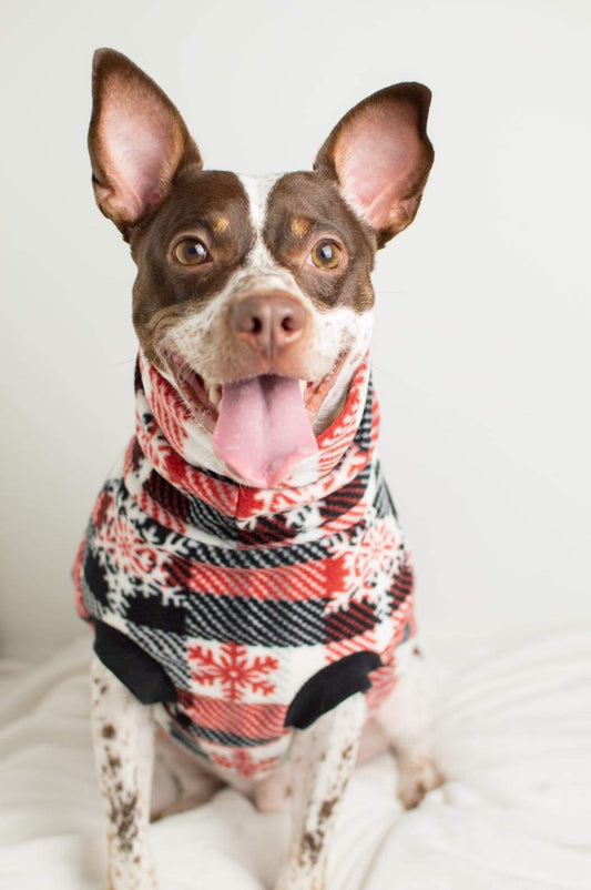 Dog wearing a plaid sweater on a white background