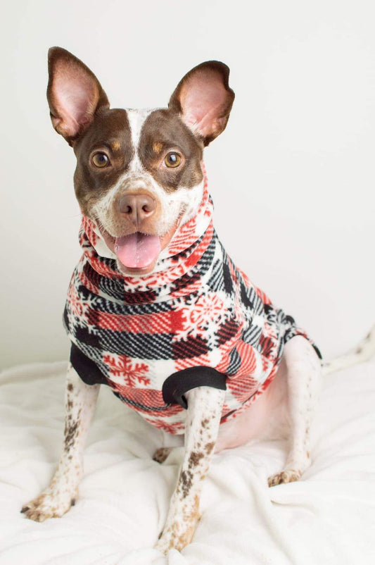 Dog wearing a plaid sweater on a white background