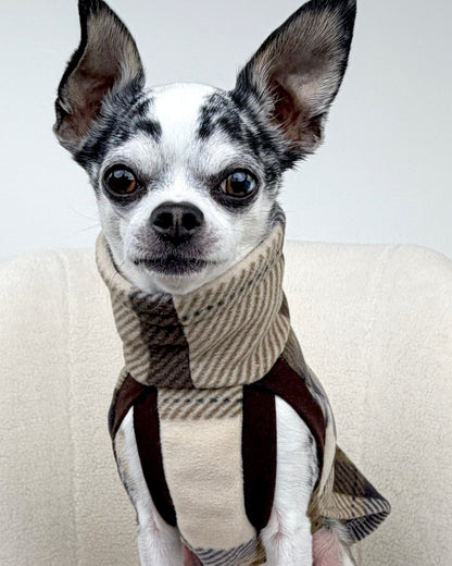 Small dog wearing a tan and brown fleece sweater